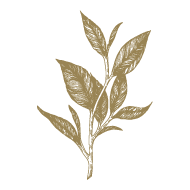 Sencha Earl Grey sans théine