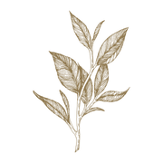 Coffret maîtres et artisans N°1 2024