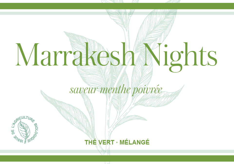 Marrakech Nights