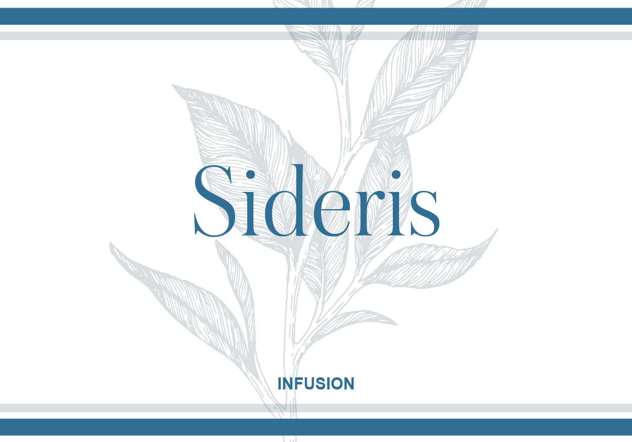 Thé grec des montagnes