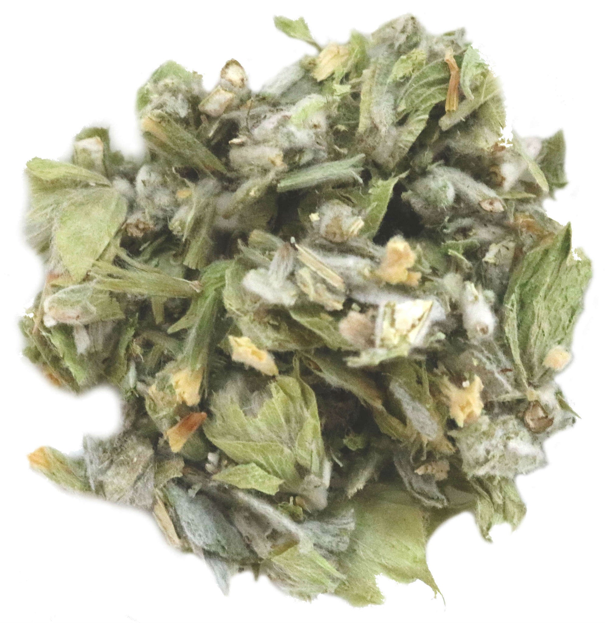 Thé grec des montagnes