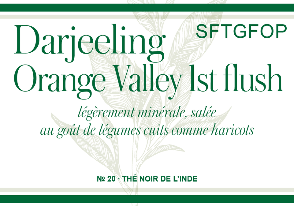 Darjeeling SFTGFOP Orange Valley 2022 1st fl.
