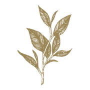 Sencha Earl Grey ohne Tein