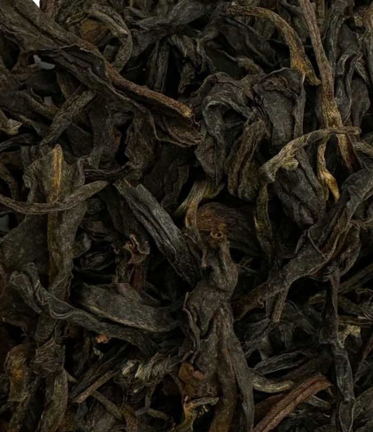 Oolong Usambara