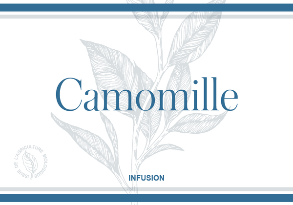 Camomille (Bio)