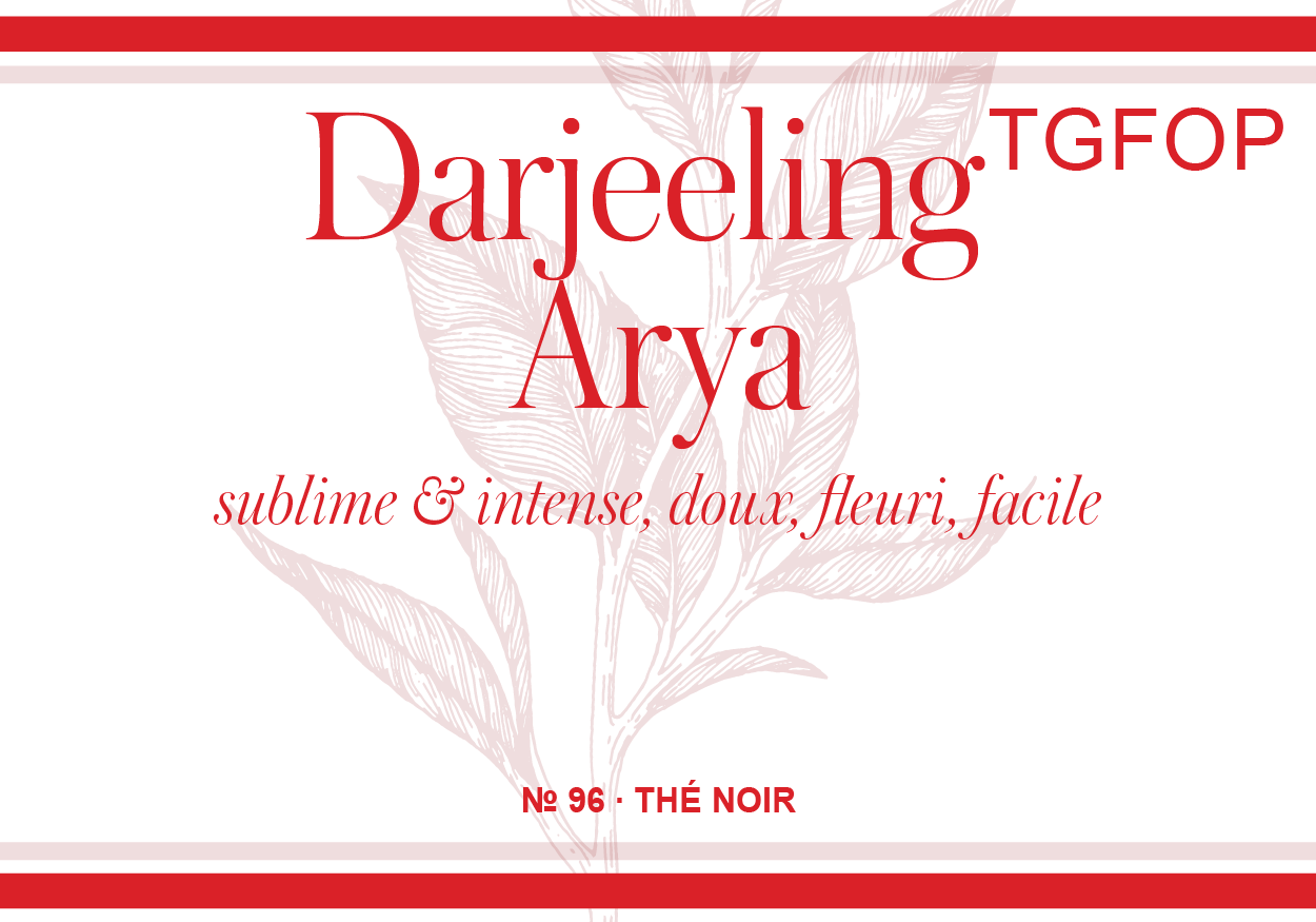 Darjeeling Arya First Flush 2024