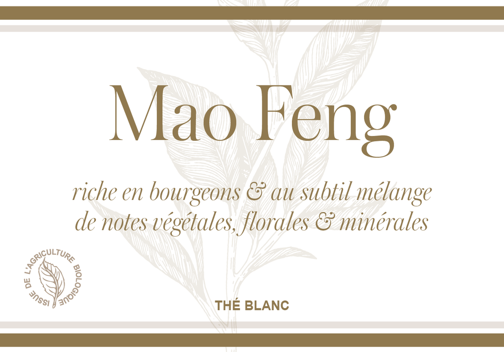 Mao Feng (Bio)