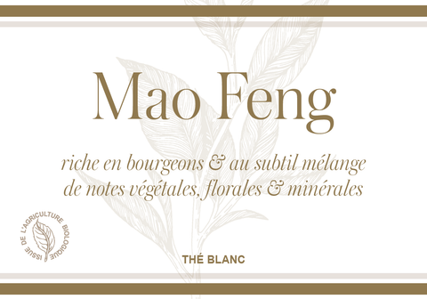 Mao Feng (Bio)