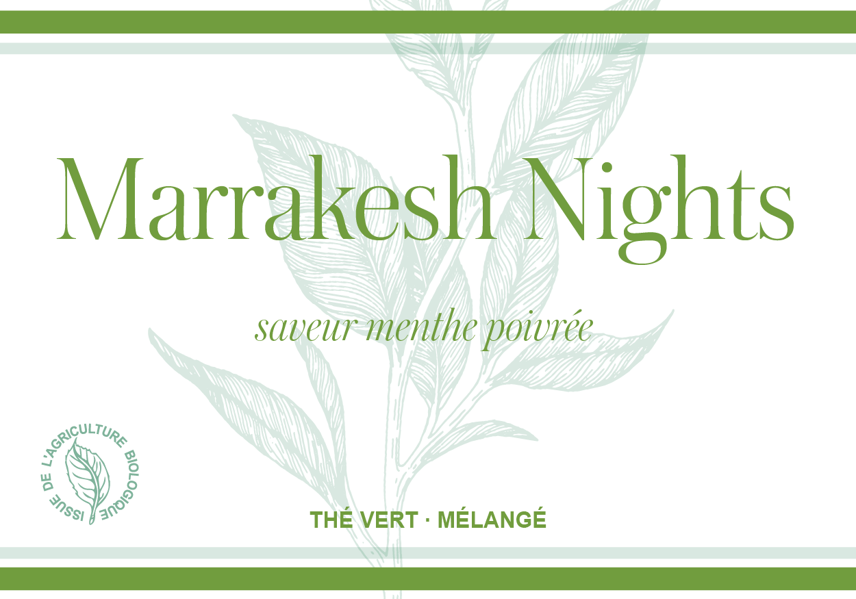 Marrakech Nights