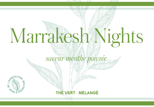 Marrakech Nights