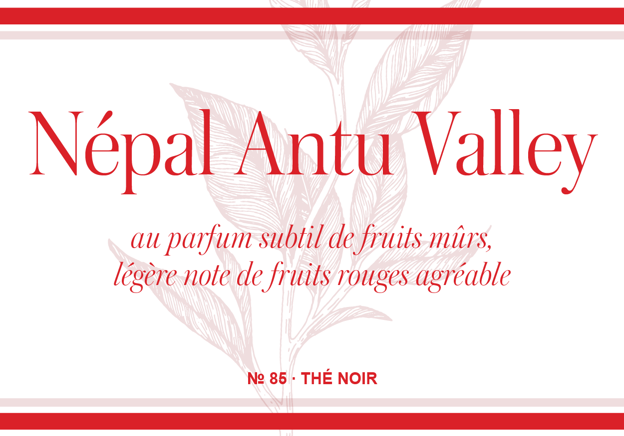 Népal Antu Valley