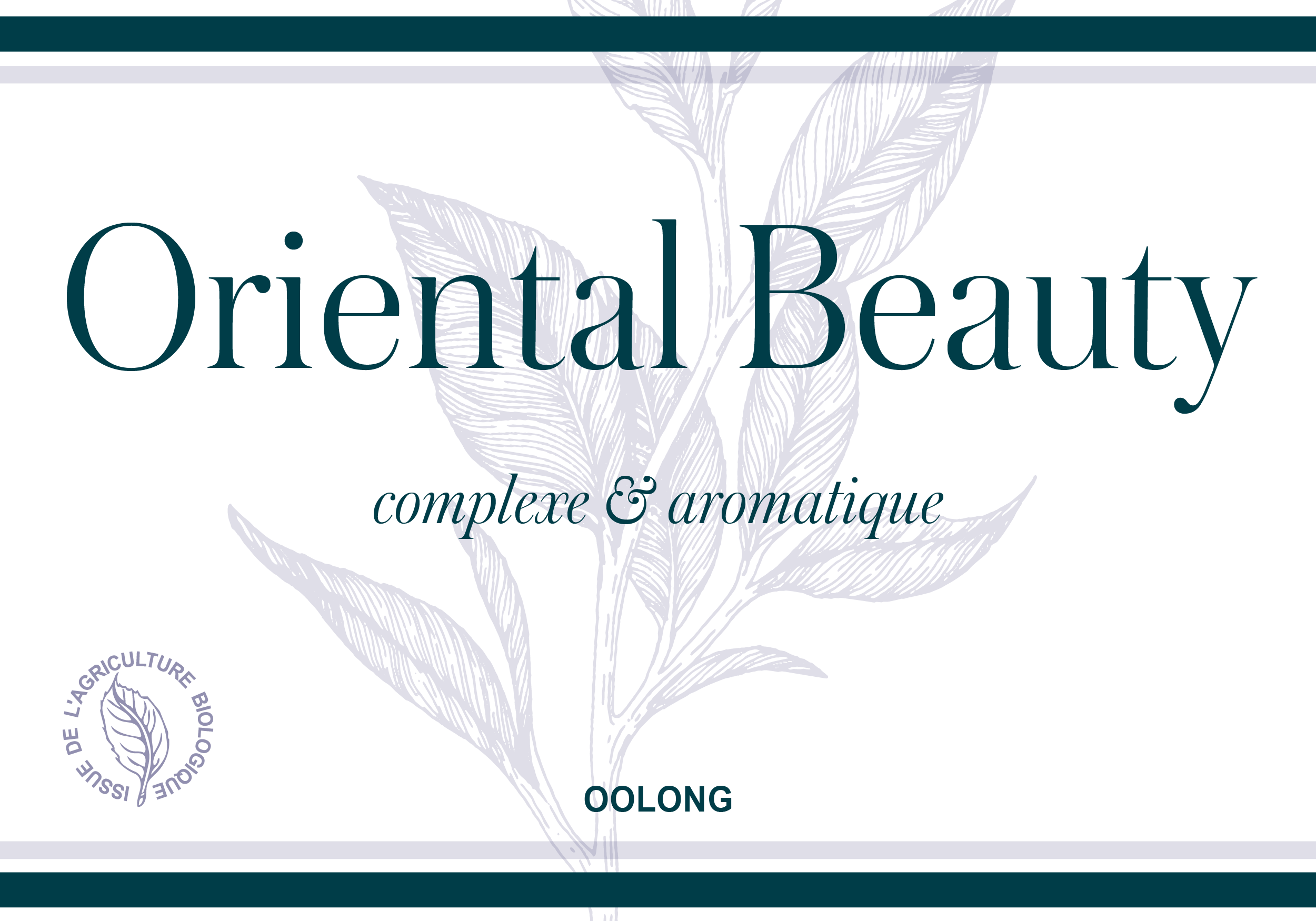 Oriental Beauty