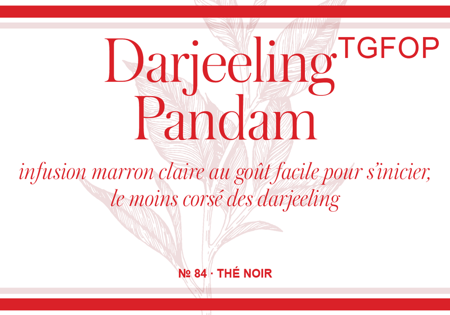 Darjeeling TGFOP Pandam