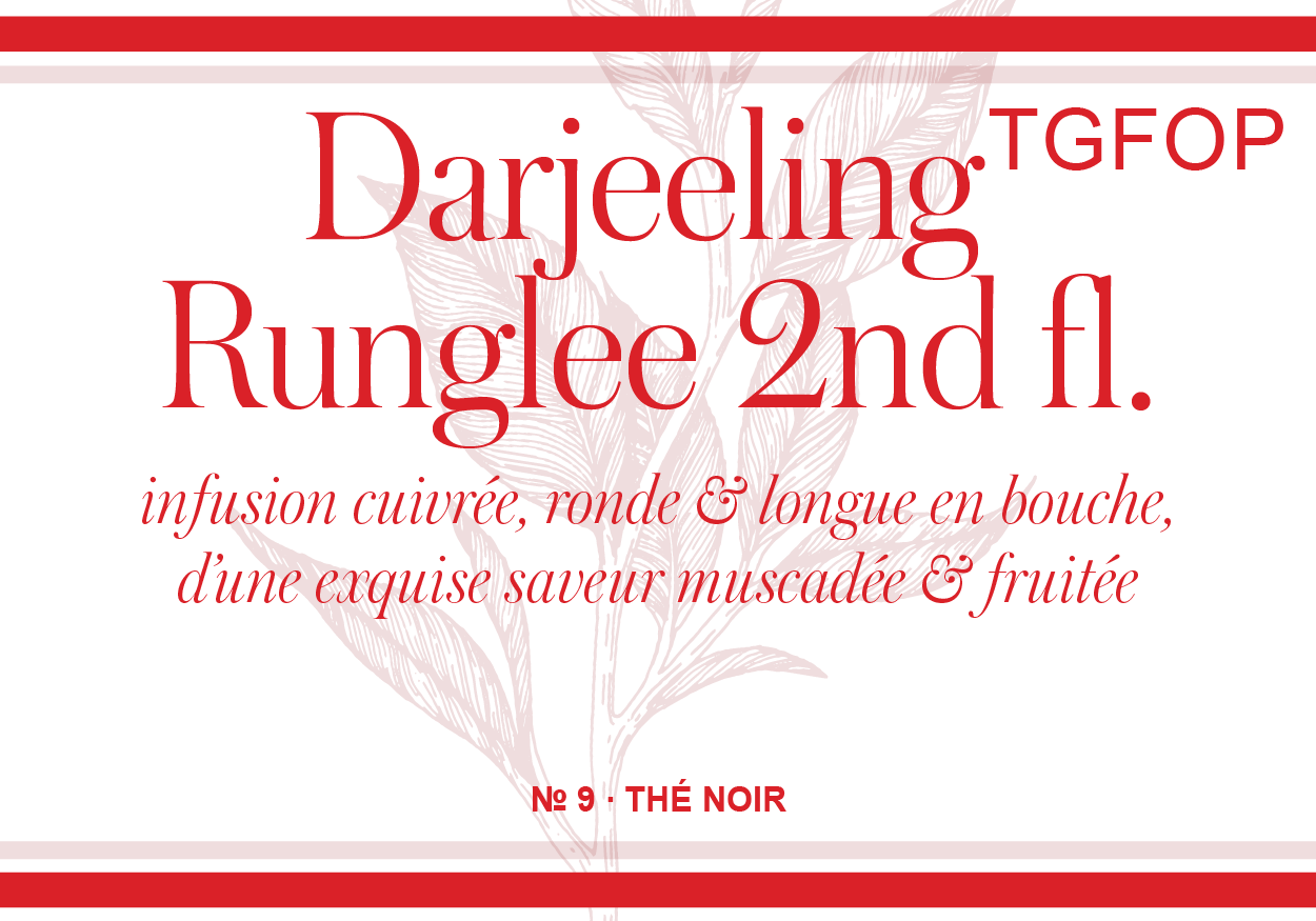 Darjeeling Runglee 2. Stock. TGFOP