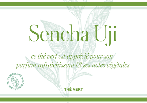 Sencha Uji (Bio)