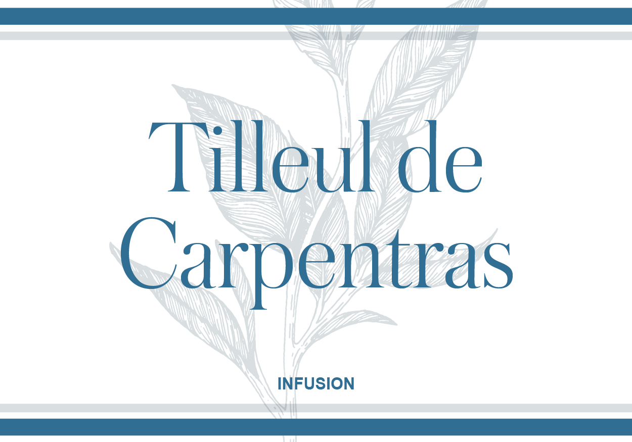 Tilleul de Carpentras