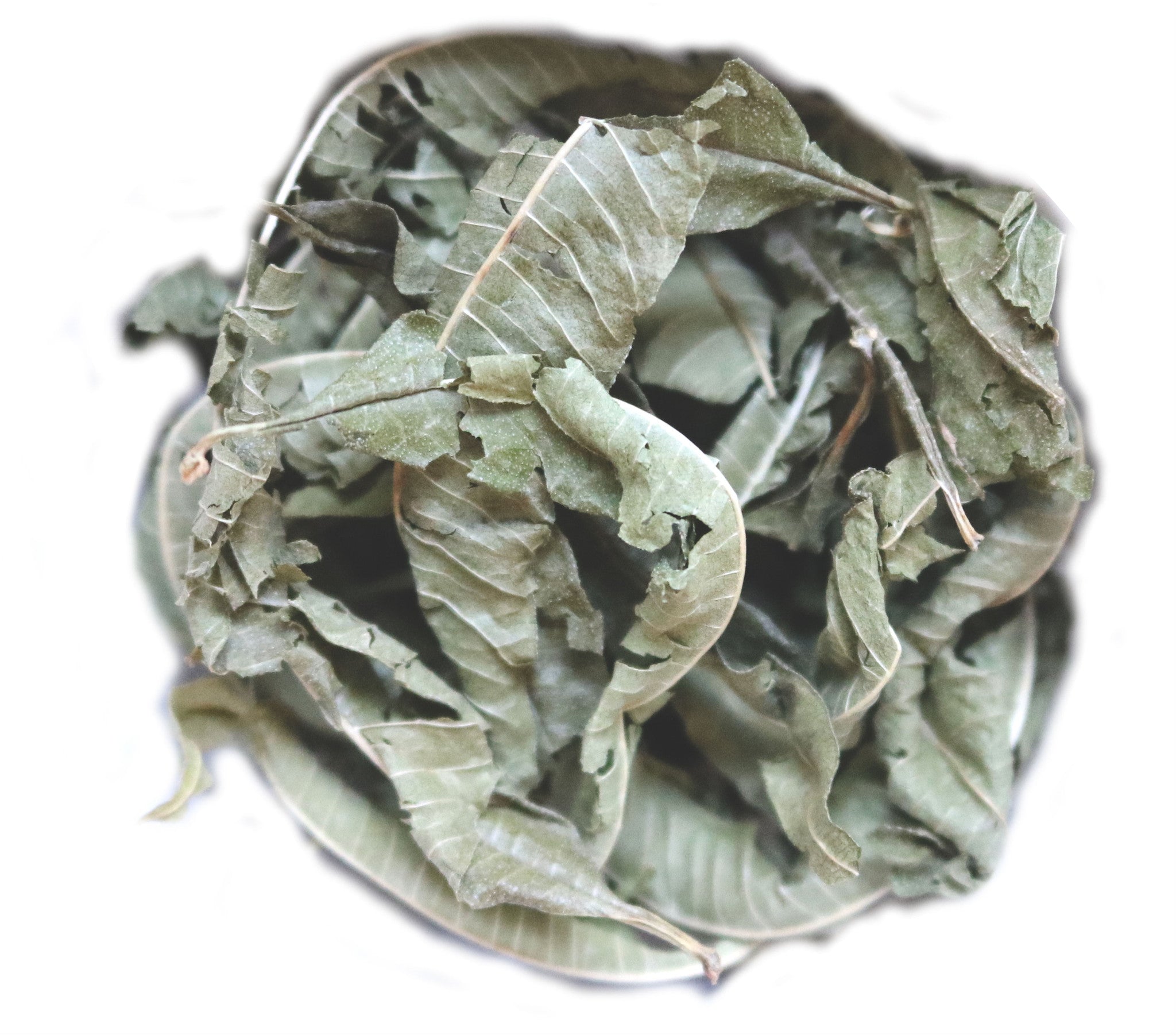 Verveine Sachet Individuel