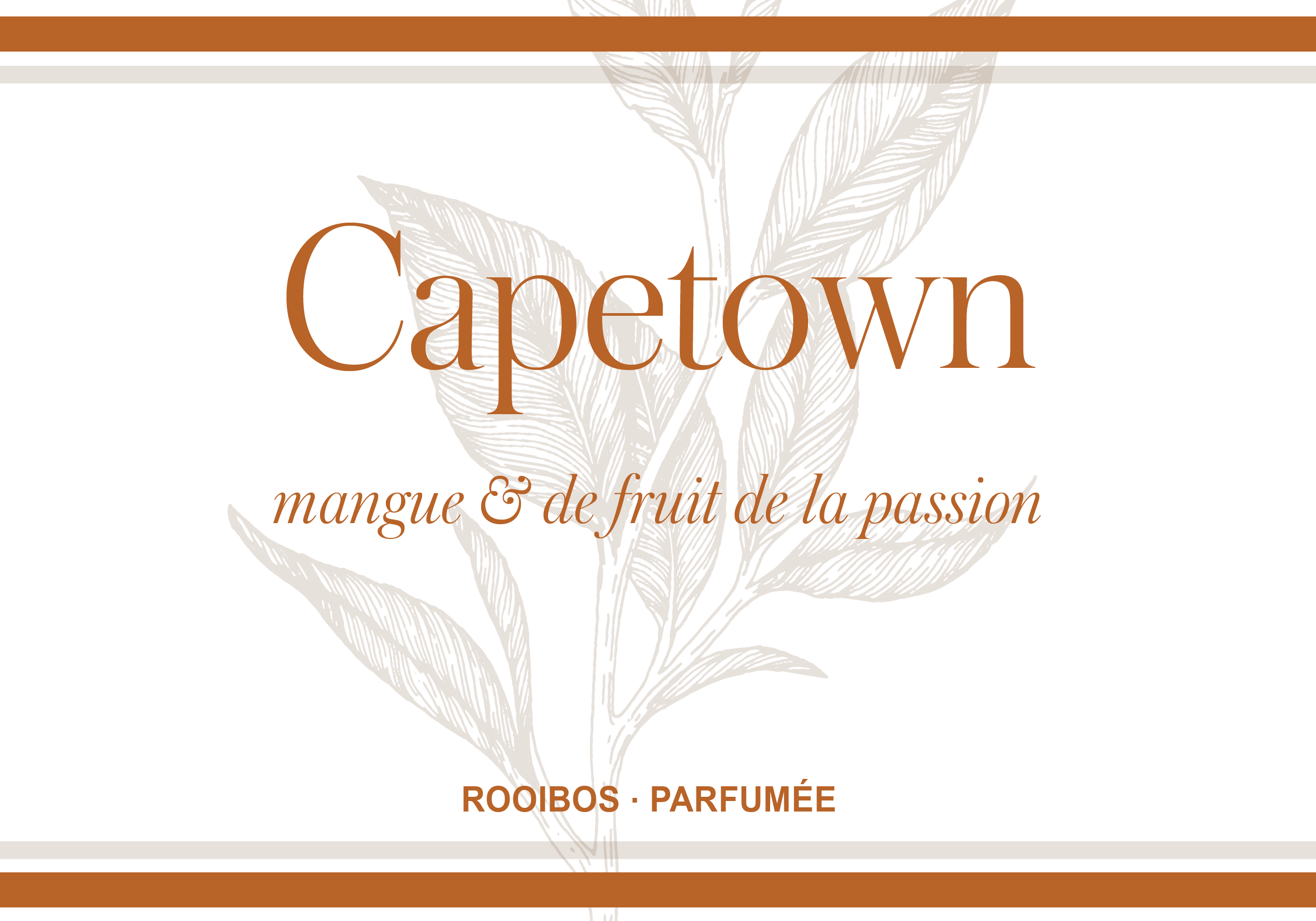 Rooibos Kapstadt 