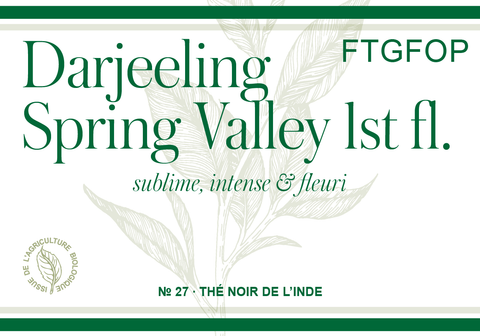 Darjeeling FTGFOP Spring Valley 1st Flush (Bio)