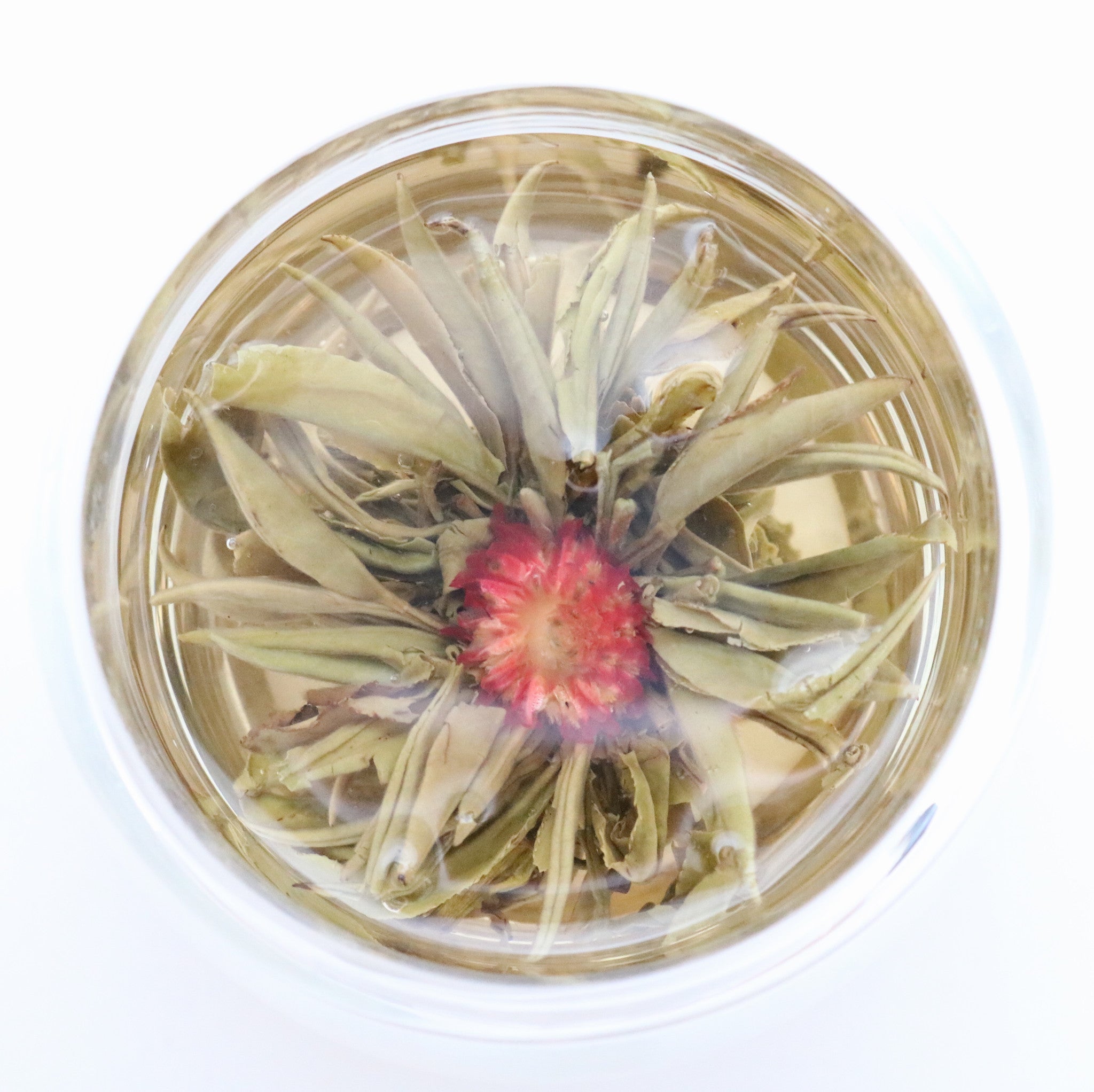 Teeblume