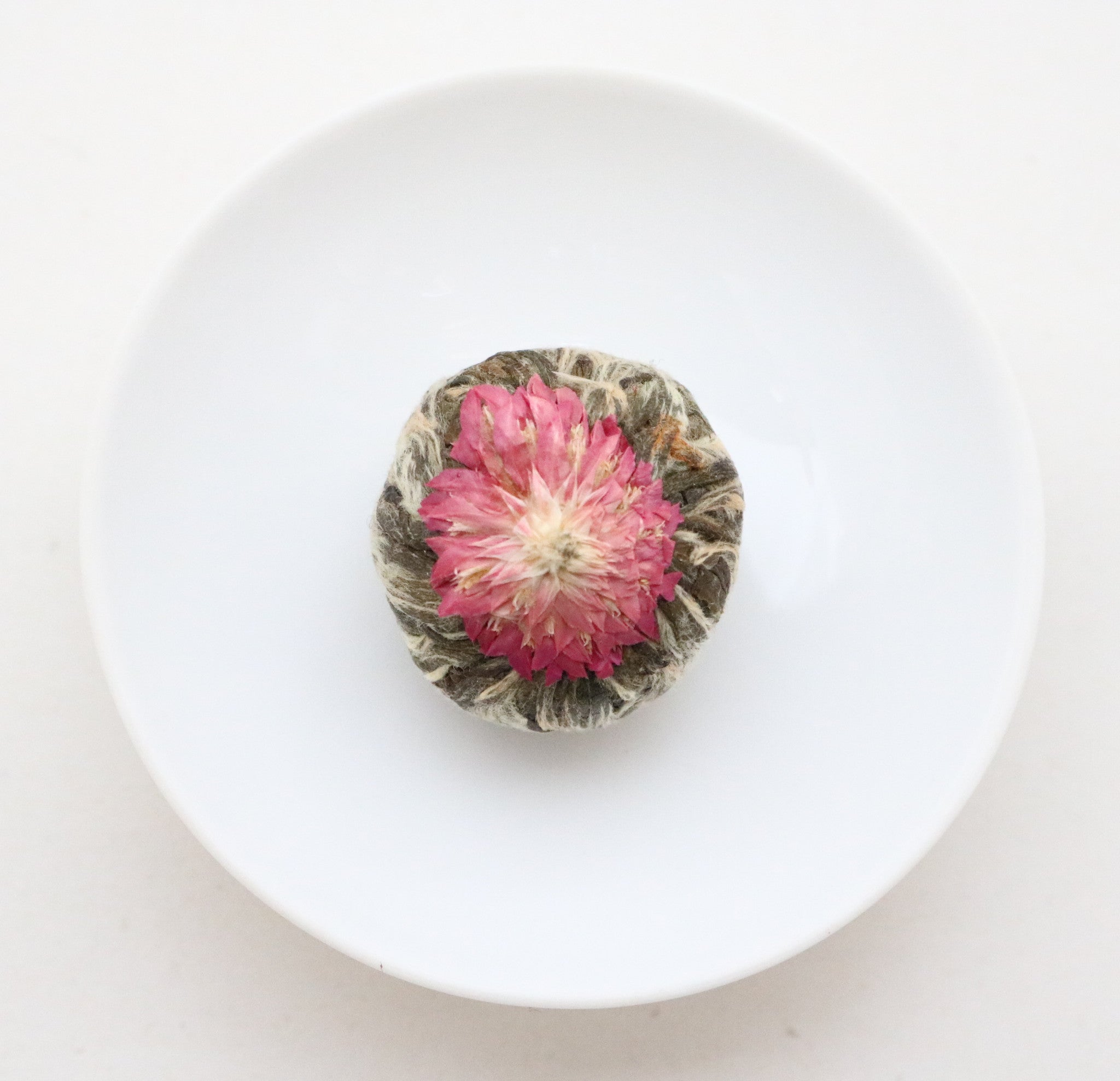 Teeblume
